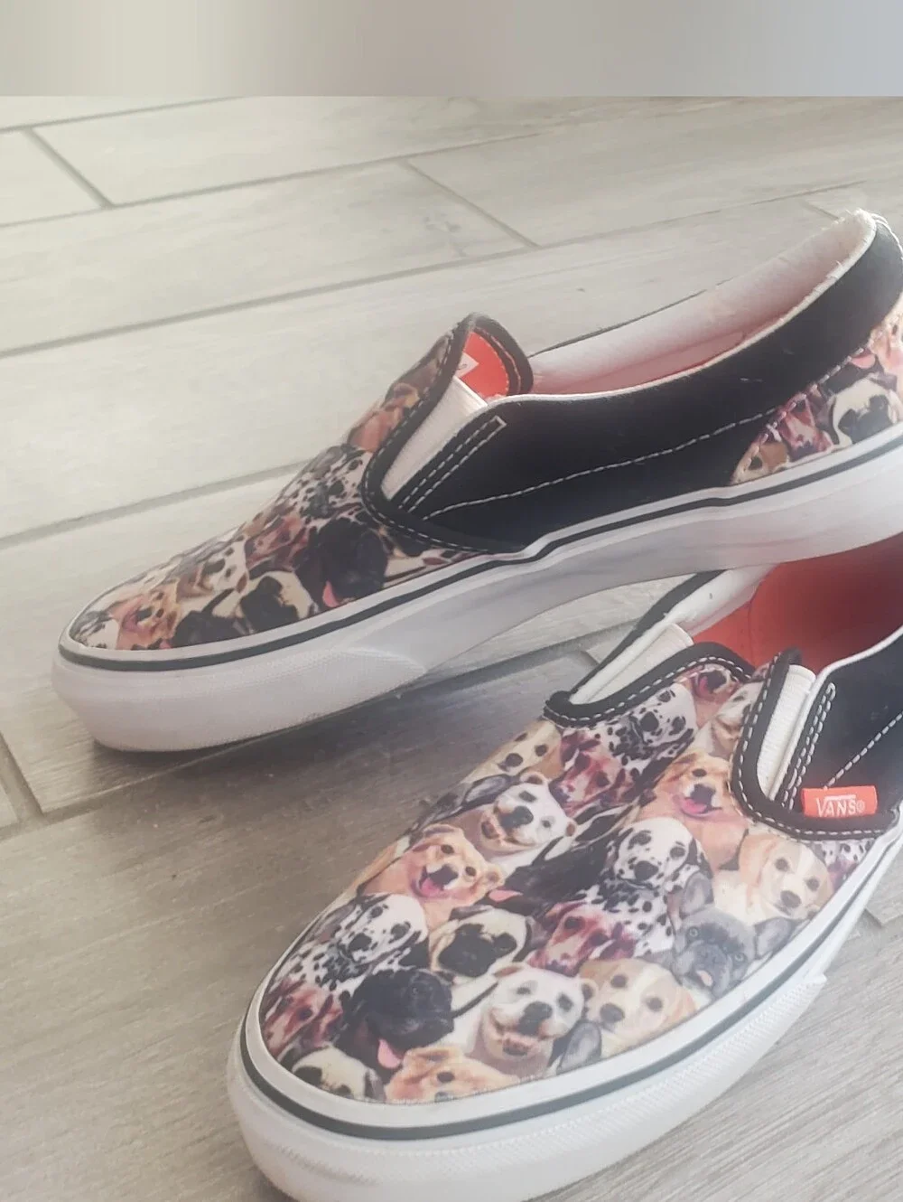Rare Vans x ASPCA Dog Print Classic Slip-On Sneakers 🐶